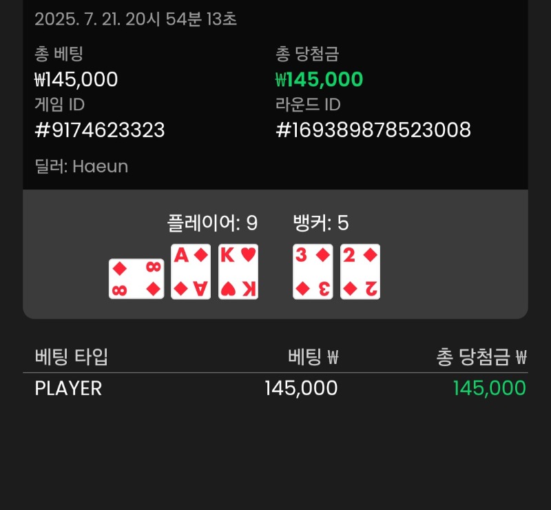 바카라 플레이어 승