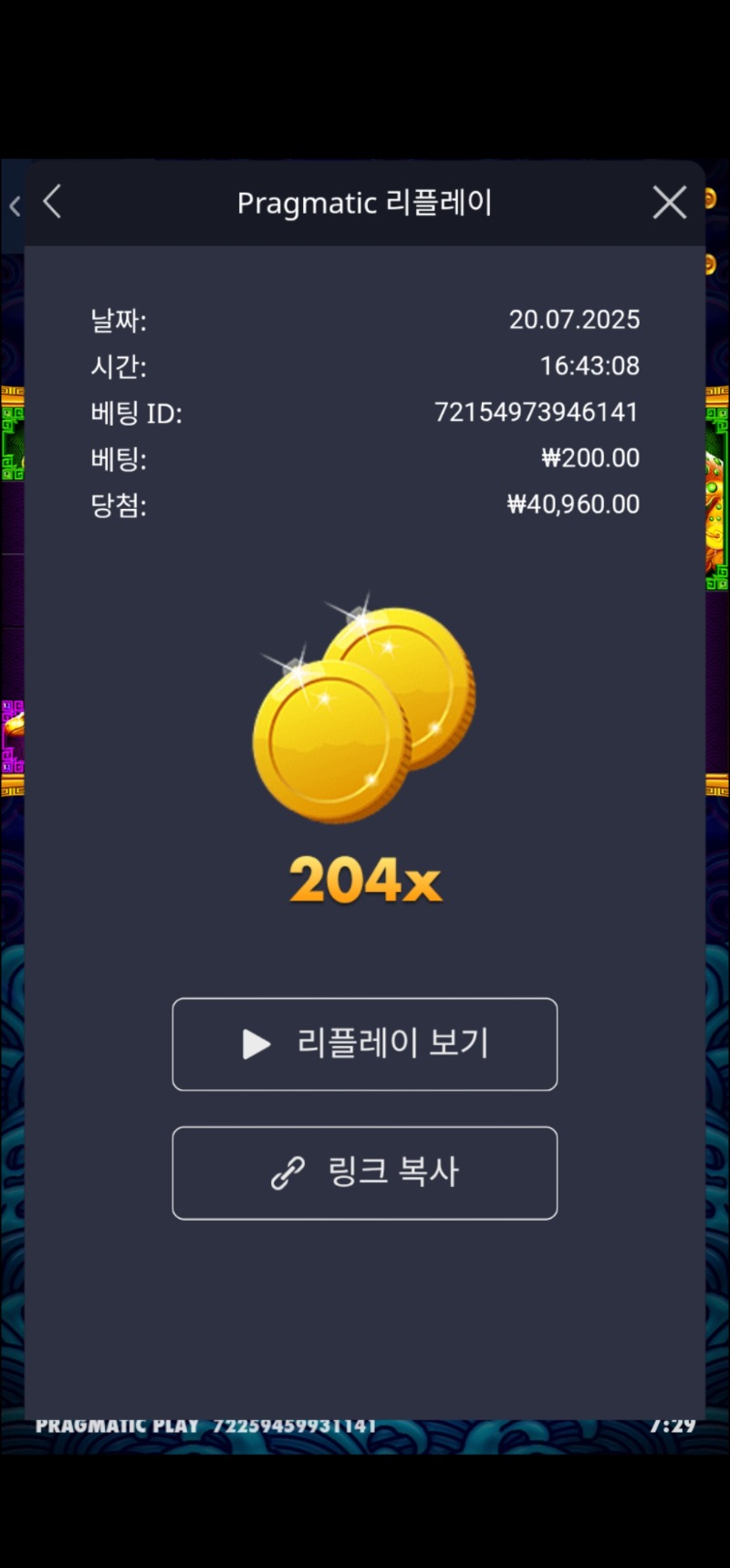 오라메 204