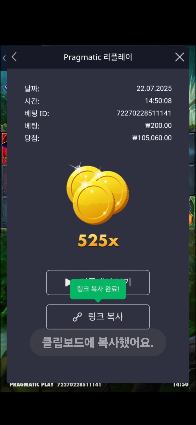 멀린525배