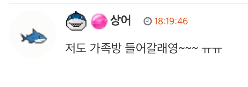 상어 신고 합니다.
