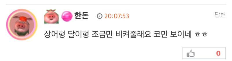 한돈오빸ㅋㅋㅋ귀여옹❤️