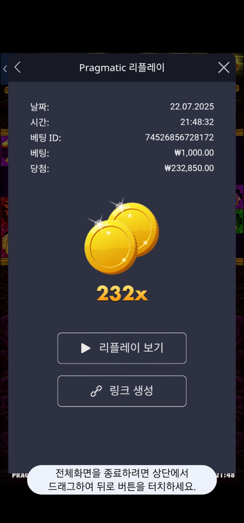 토라메 232배