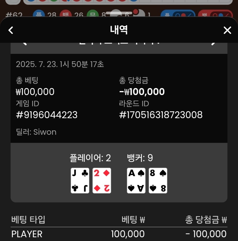 플레이어 패
