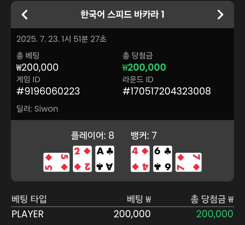 플레이어 승