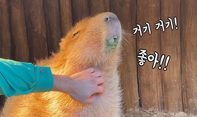 어이구야 얼라리여~