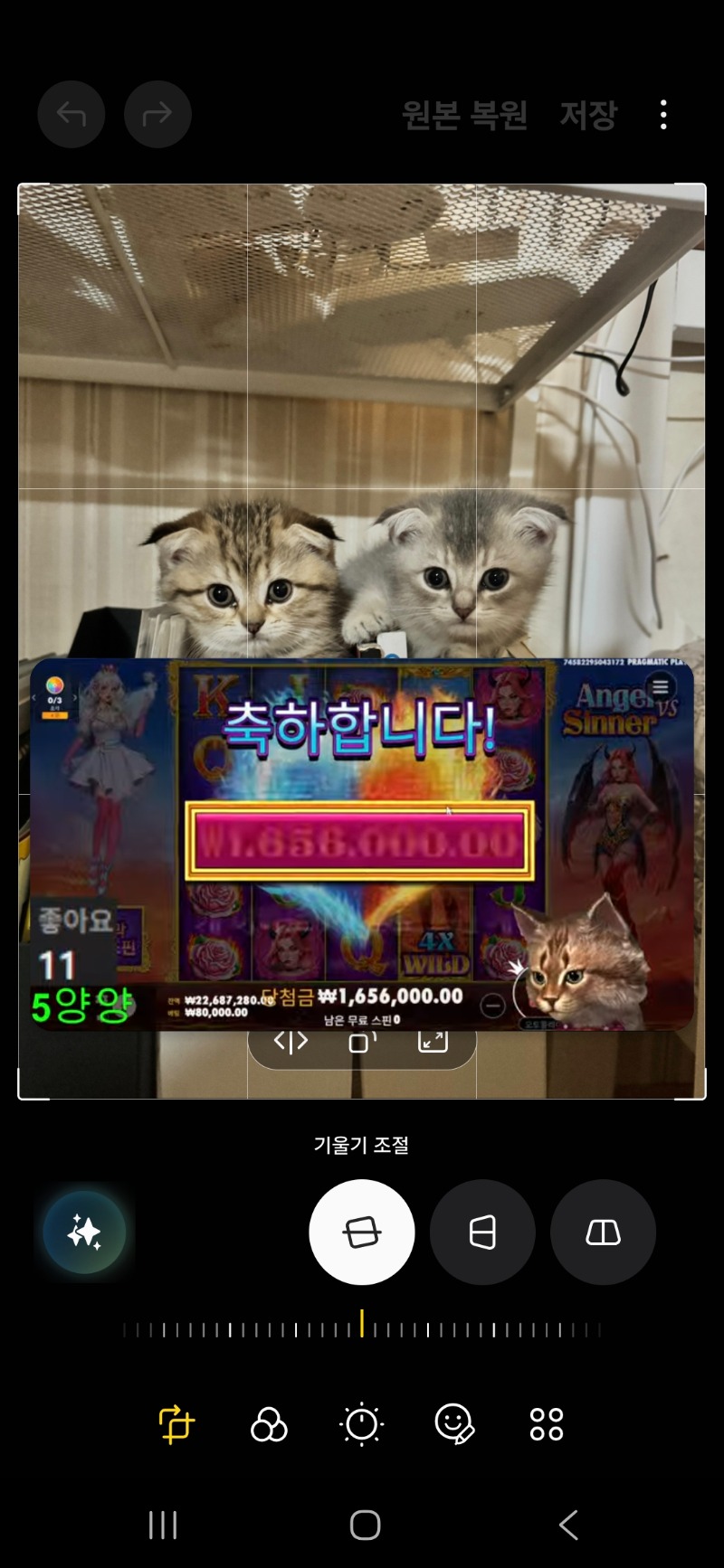 양 3남매