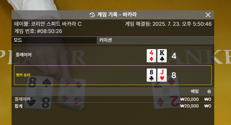 바카라 다시 패!