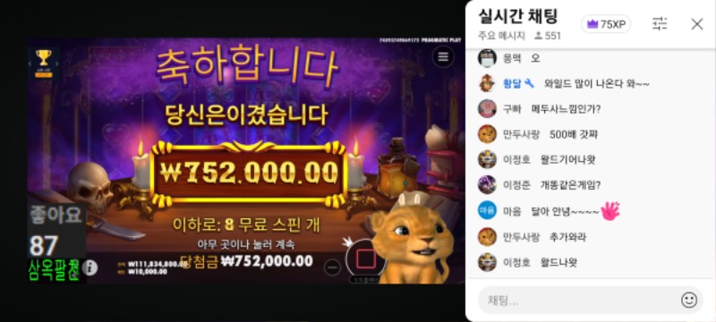 사자 최배비 결과공유