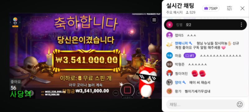 최배비 붱이 결과공유 1등약탈