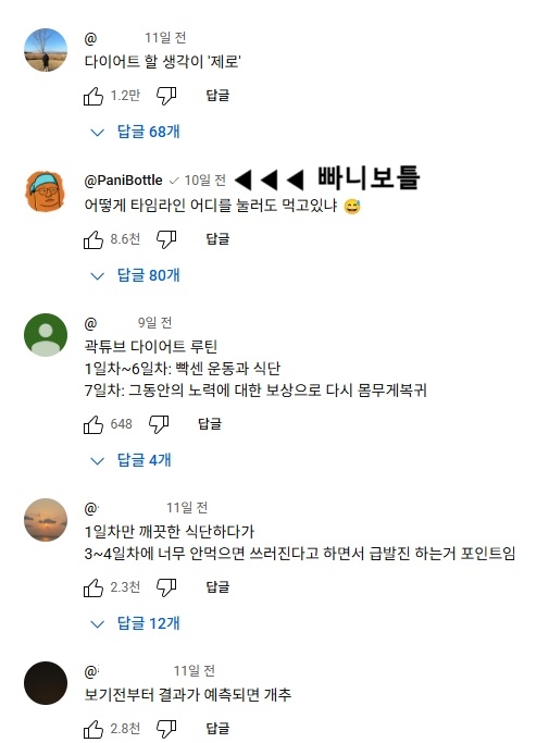 곽튜브 다이어트 영상에 달린 댓글들