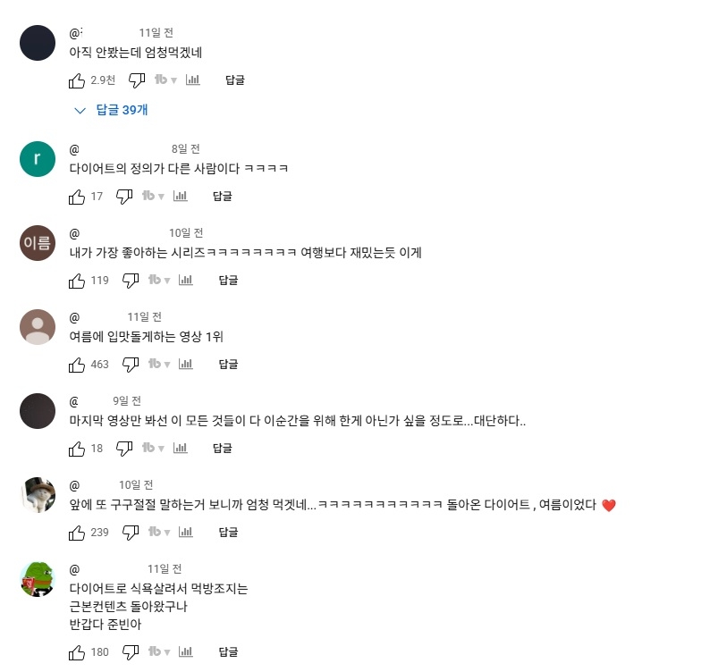 곽튜브 다이어트 영상에 달린 댓글들