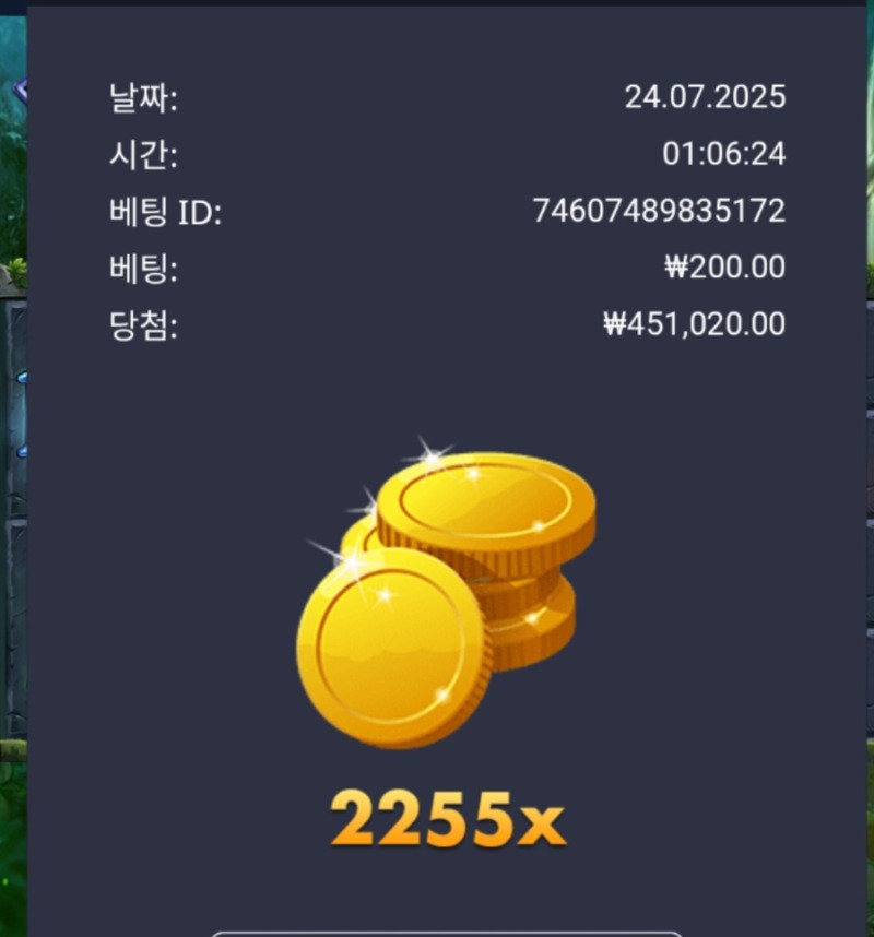 멀린 2255