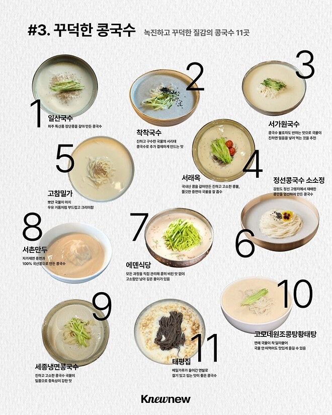 콩국수 전국 도감