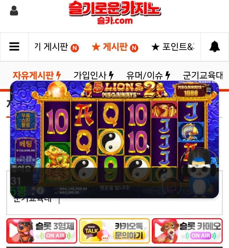 오랜만에 퀑이 방송본당~