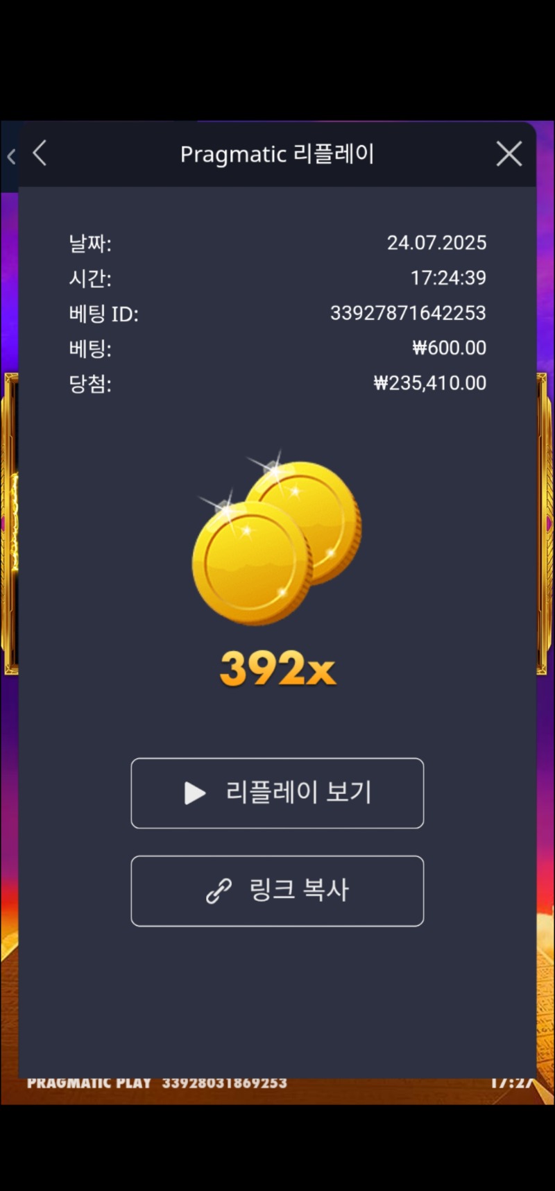 기자 392배