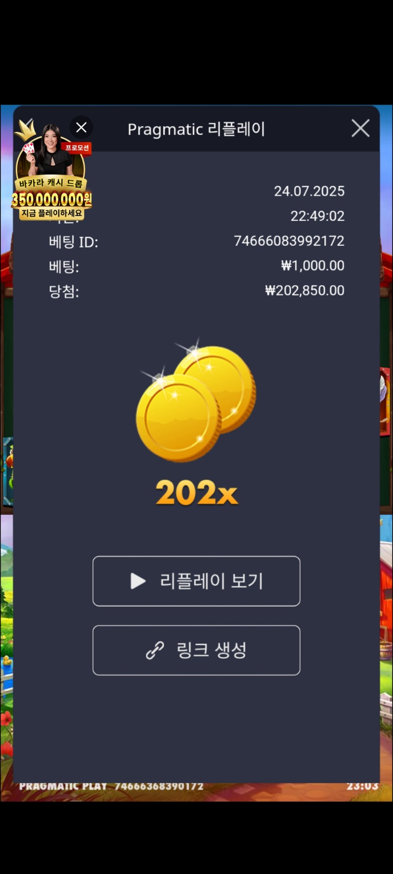 닭집202배