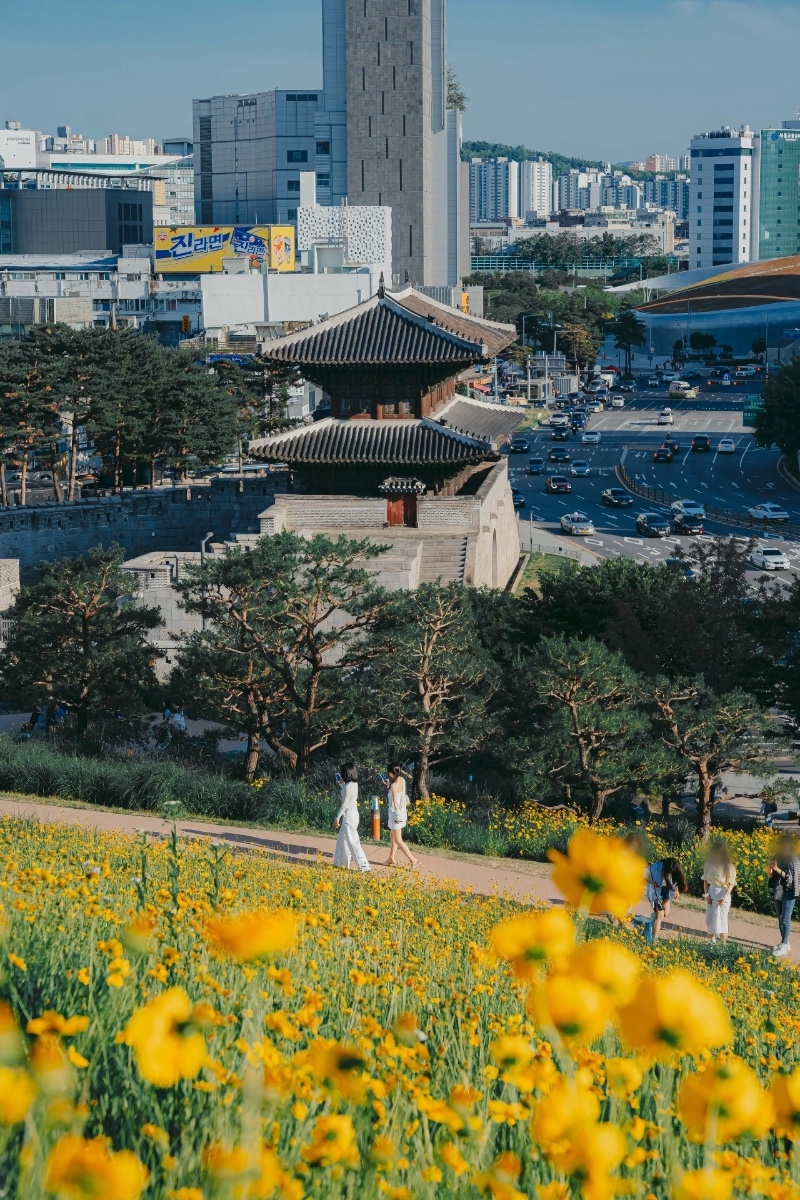외국인한테 인기많은 한국 노을 맛집