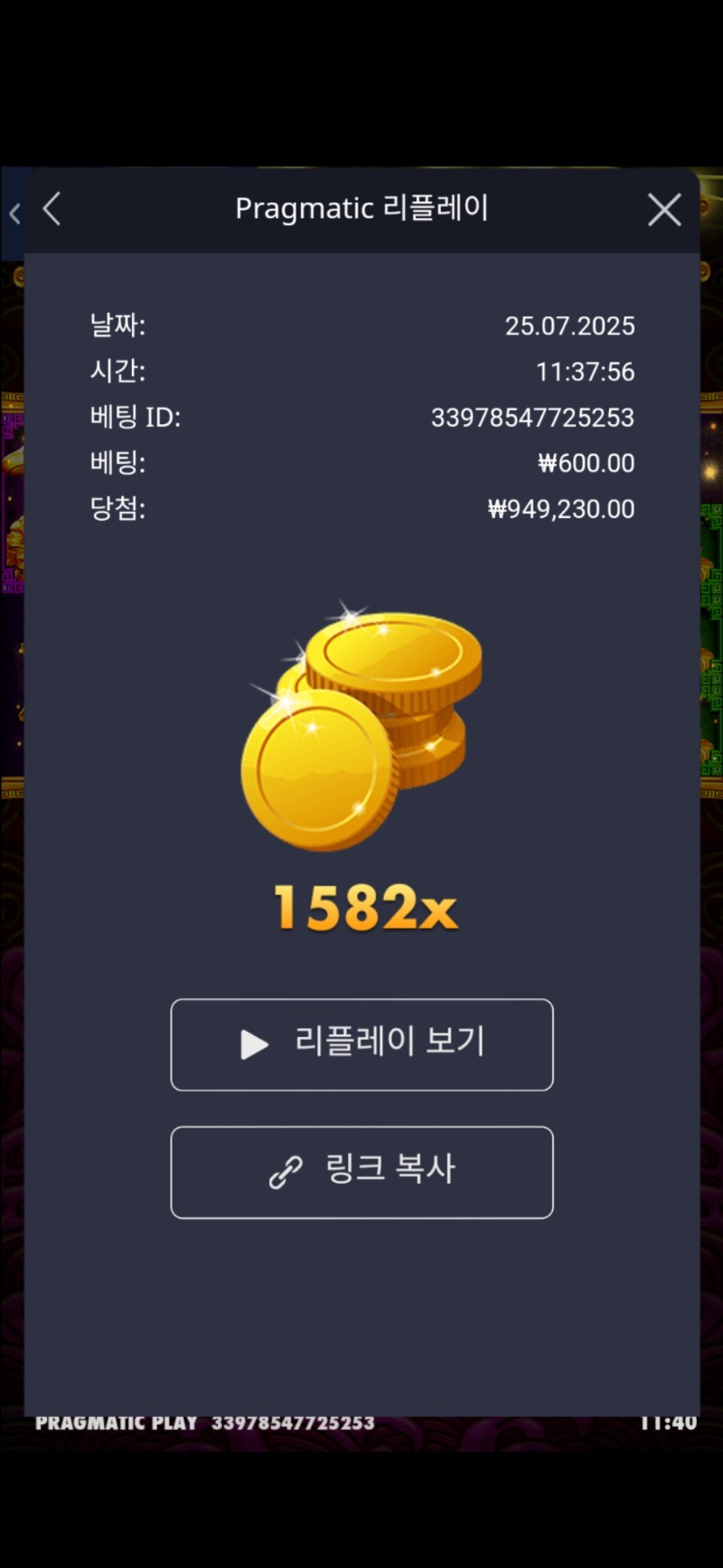 토라메 1582