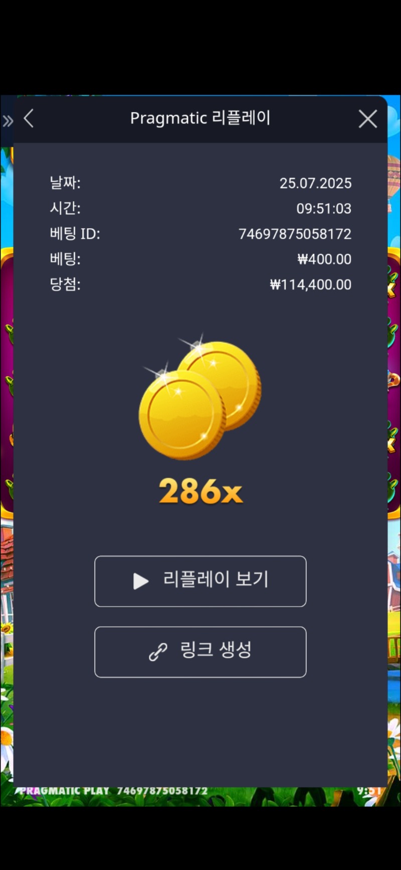 황금 조리게 286