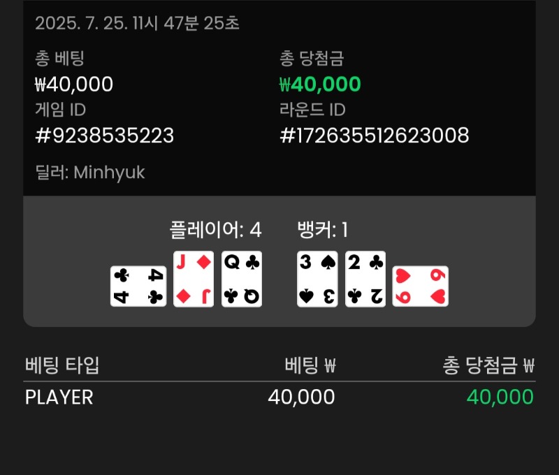바카라 플레이어 승