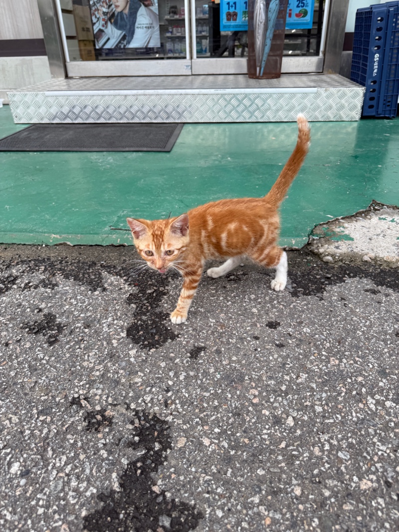 볼일보다 편의점 왔는뎅