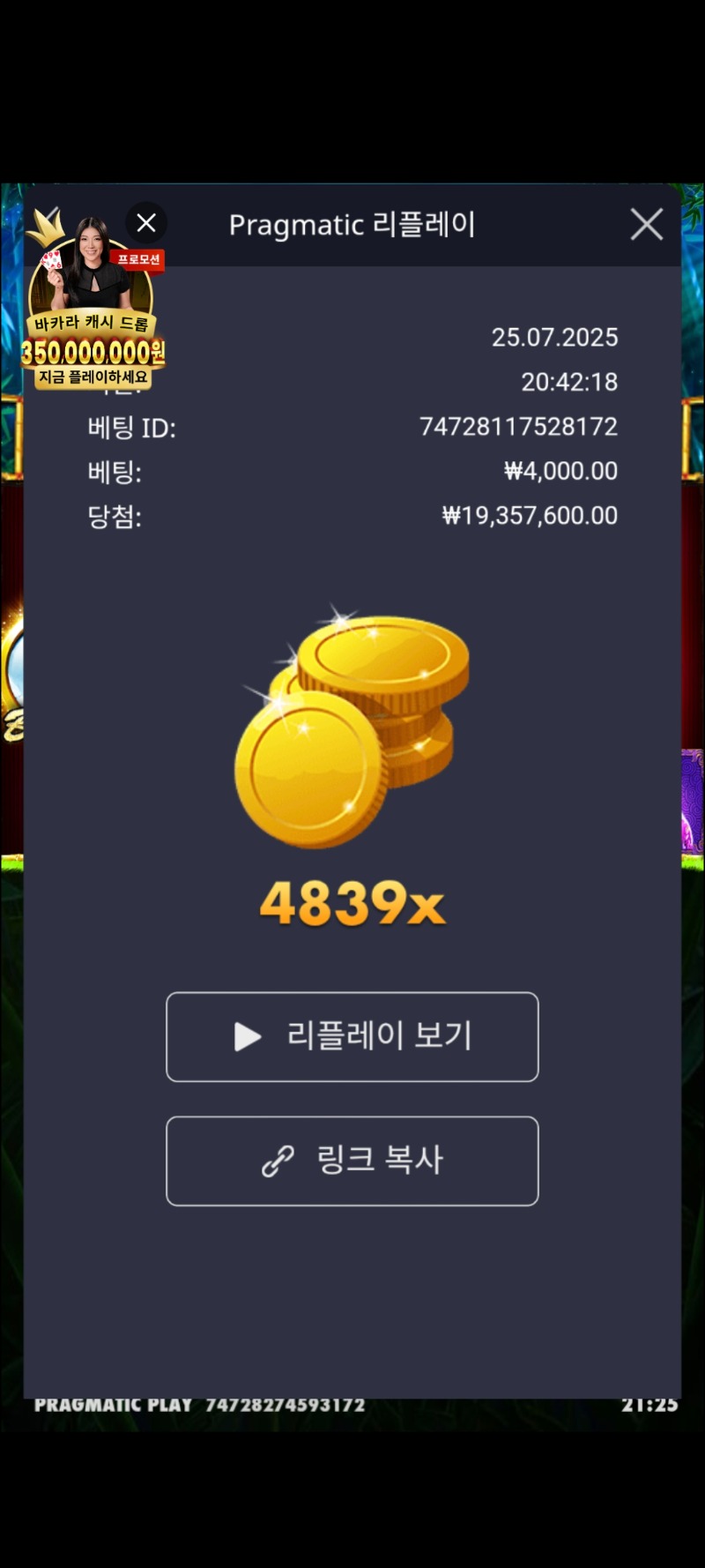 행운팬다 4839