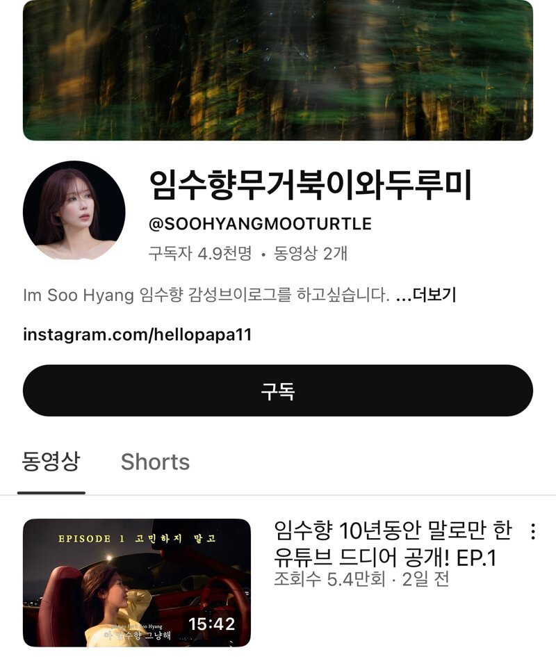 배우 임수향 유튜브 채널명.jpg