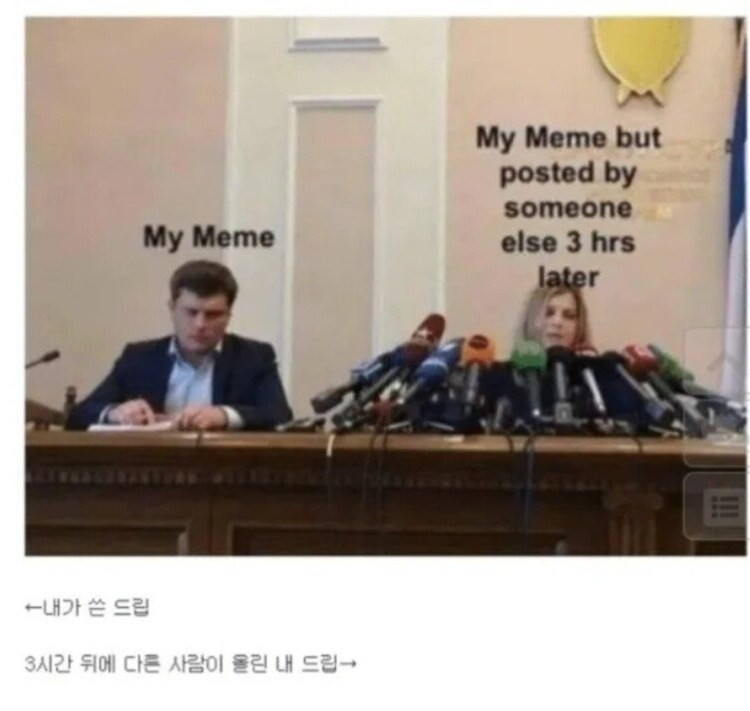 인터넷 밈 특징