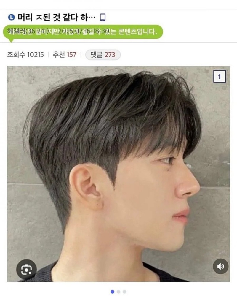 머리 ㅈ된 것 같다는 디씨인.