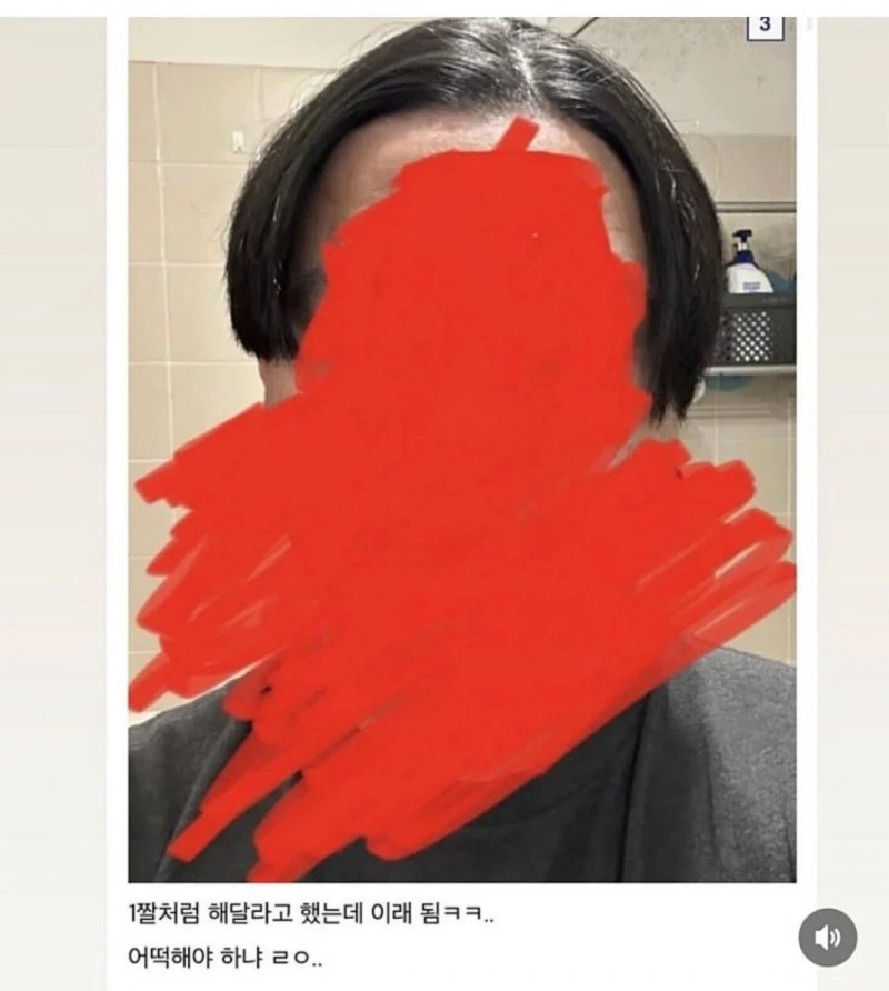 머리 ㅈ된 것 같다는 디씨인.