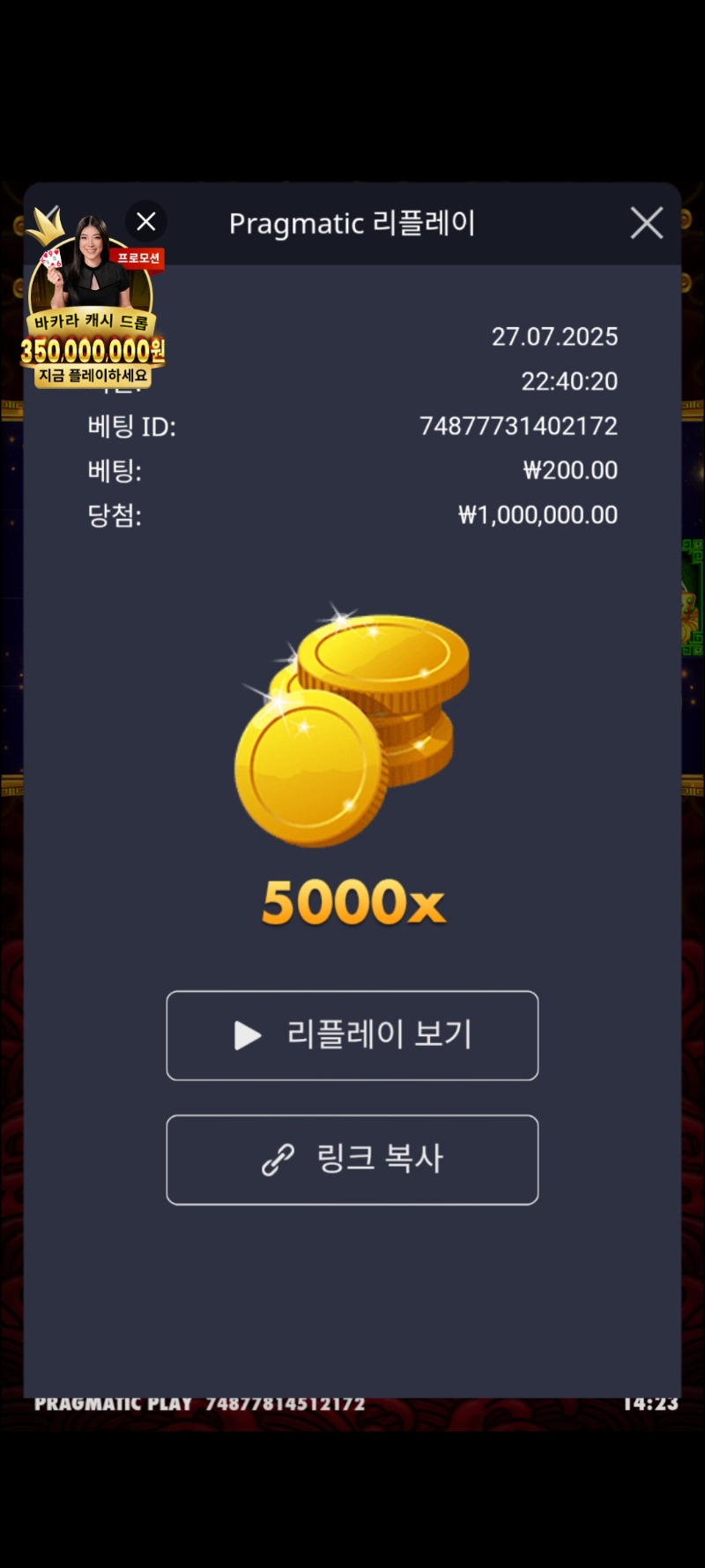 5라이온메가.맥스