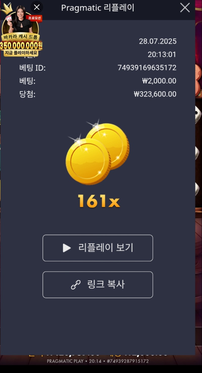 개집 주사위 161