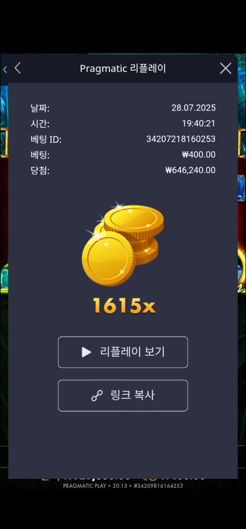 판다 1615배