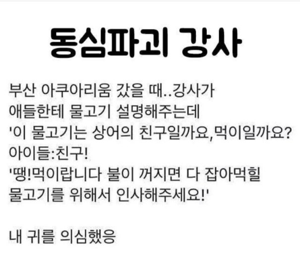 동심파괴 강사