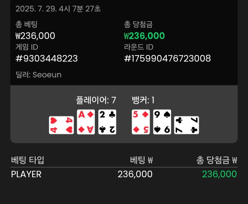 바카라 플레이어 승
