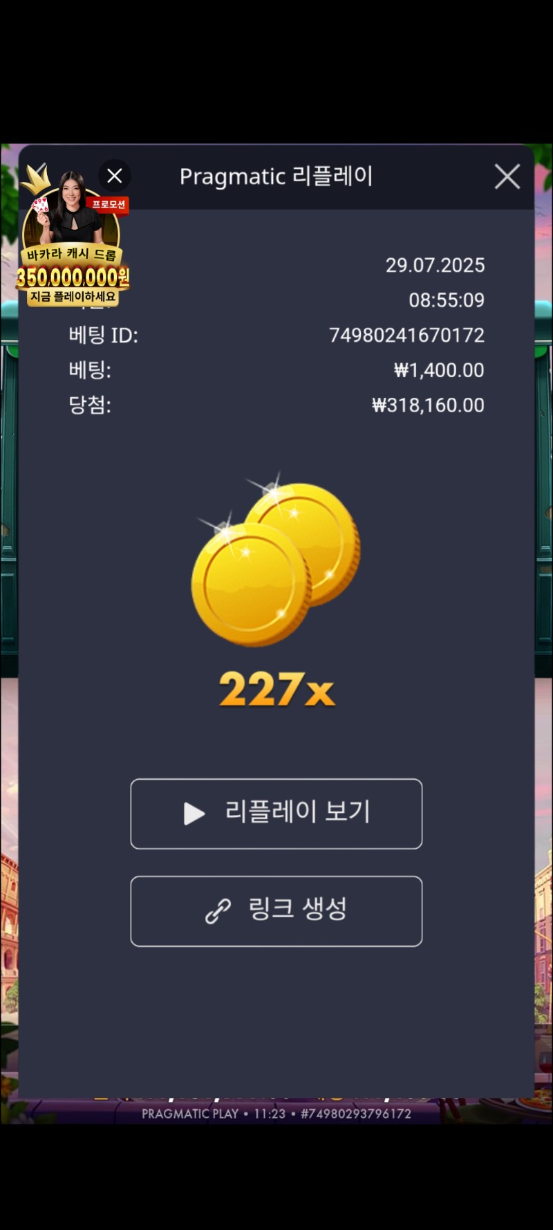 라이더 227배*1400