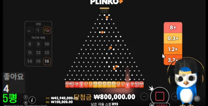 퀑이 왔어요 ^^