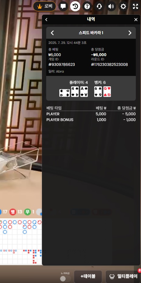 프라그 소액 패