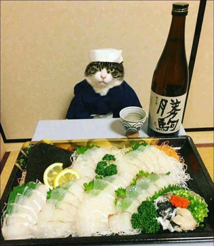 쩌메 쩌메 쩌메~~~~  맛나는 쩌메`~~