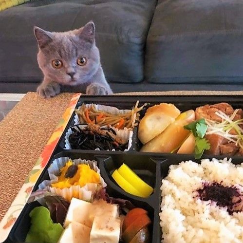 쩌메 쩌메 쩌메~~~~  맛나는 쩌메`~~