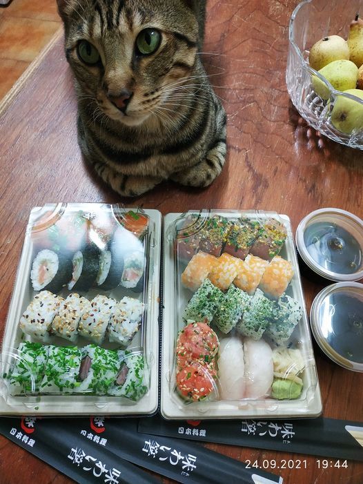쩌메 쩌메 쩌메~~~~  맛나는 쩌메`~~