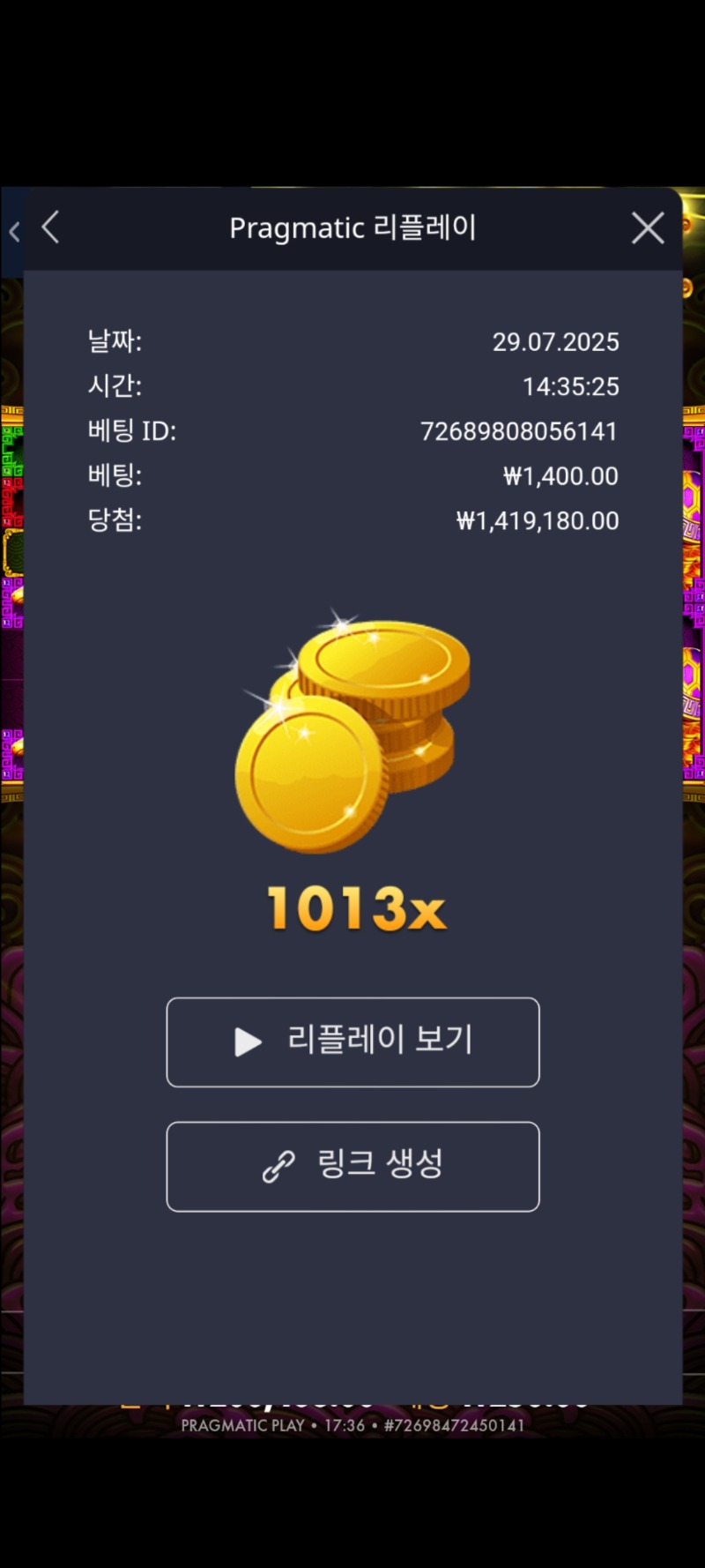 토라메1013배