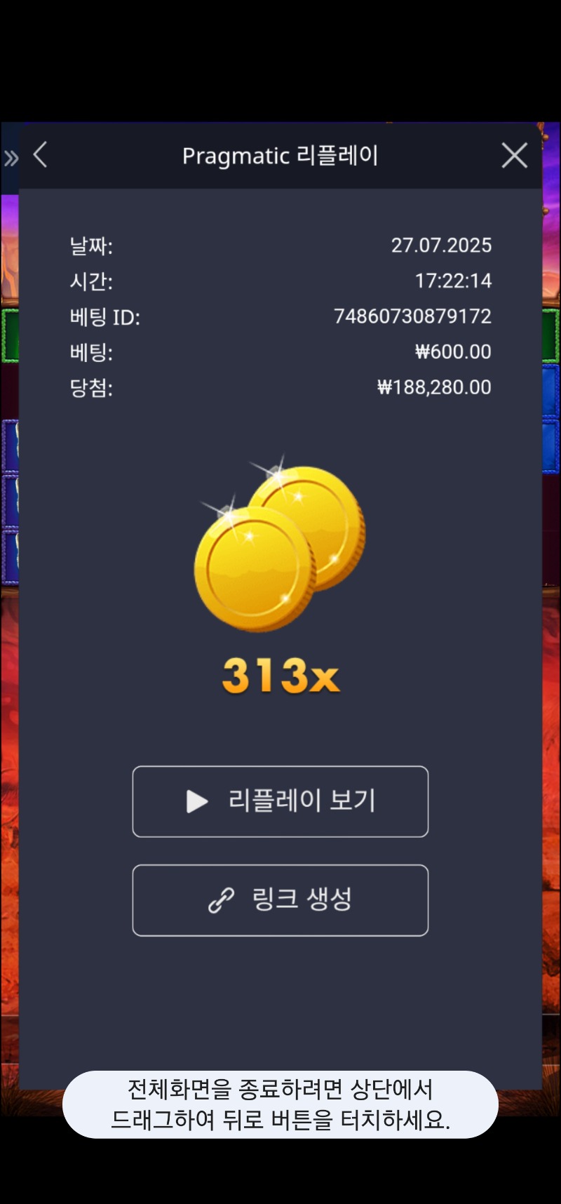 버메가 313배