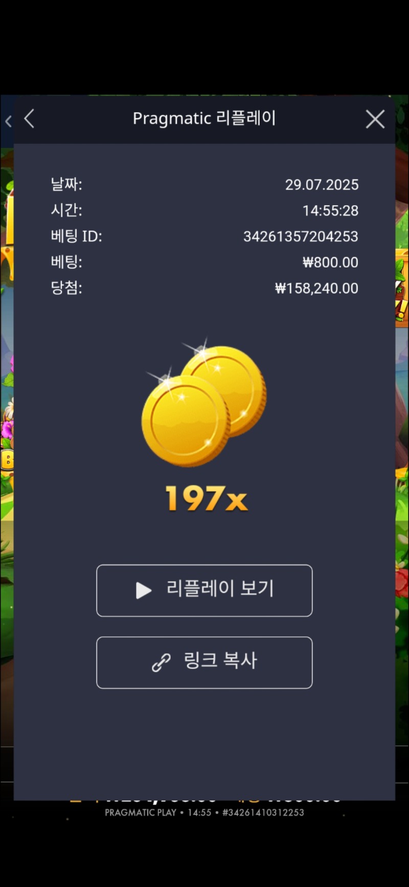 오늘의배당 허니허니 197