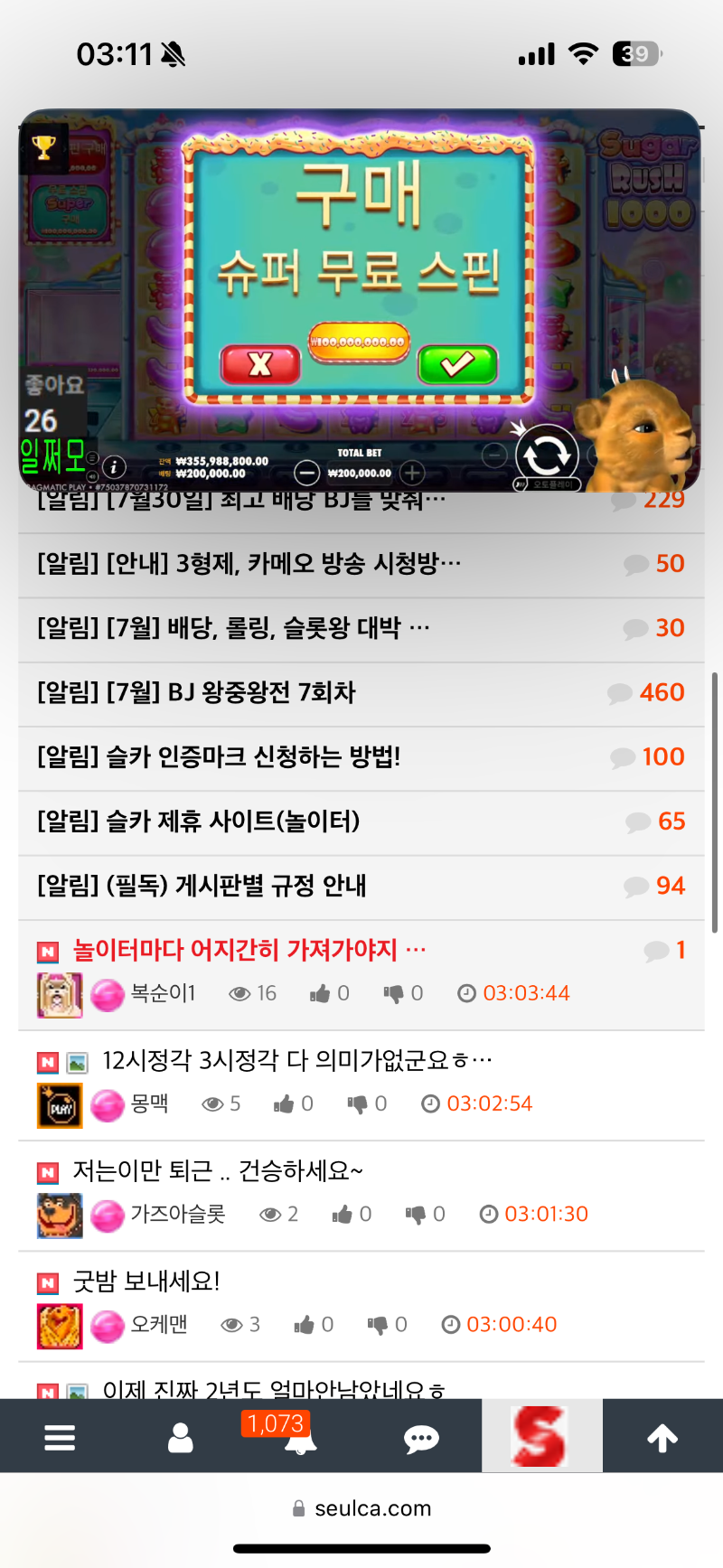 사자님의 대포 후 슈천