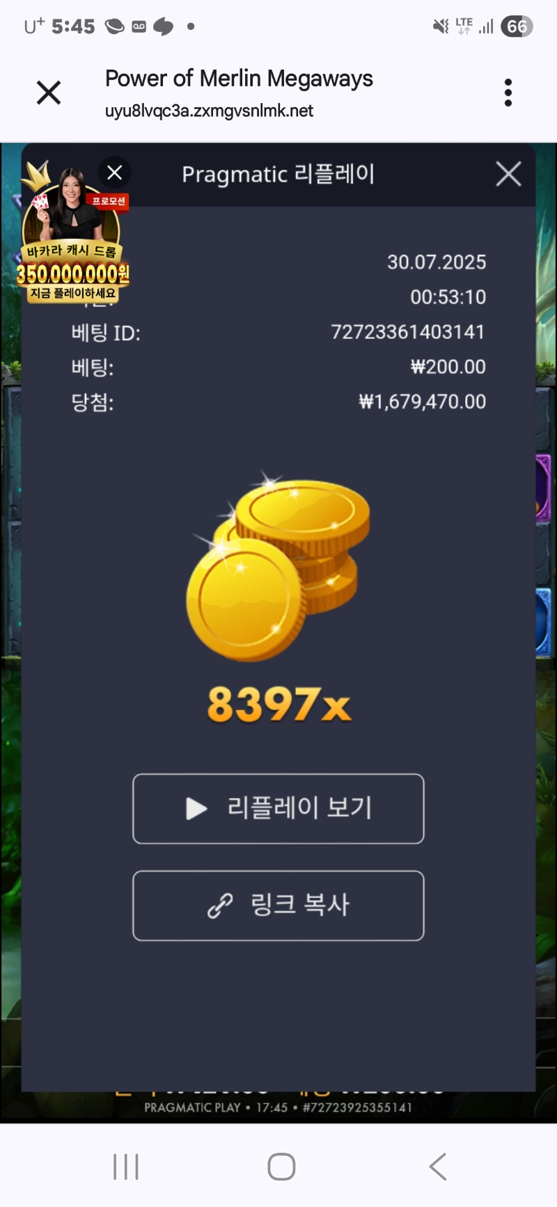멀린8397