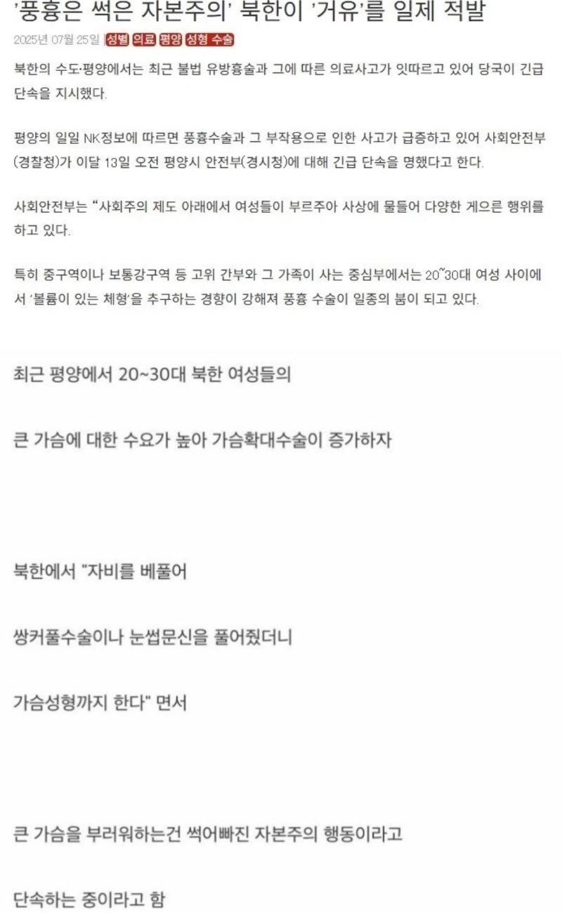 북한 왕가슴 단속중