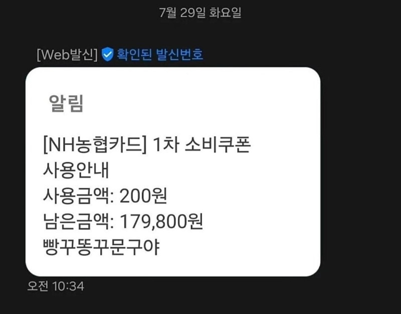 초3 조카의 민생쿠폰 사용 근황