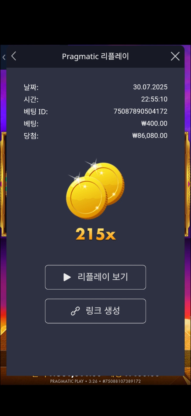 포춘오브기자 215배