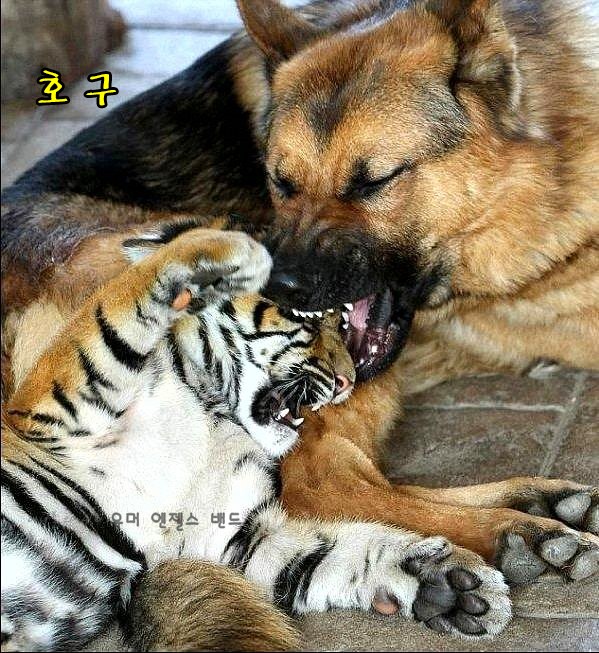 날씨는 덥고